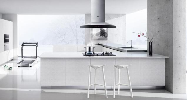 老板欧式油烟机批发企业厂家