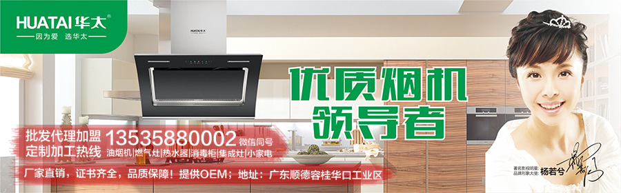 广东华太厨房电器厂家