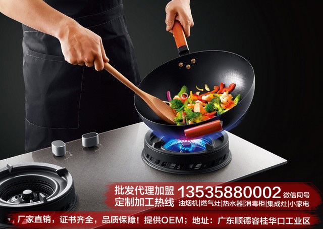 燃气炉批发厂家