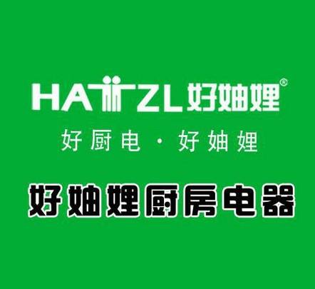 好妯娌厨房电器燃气灶