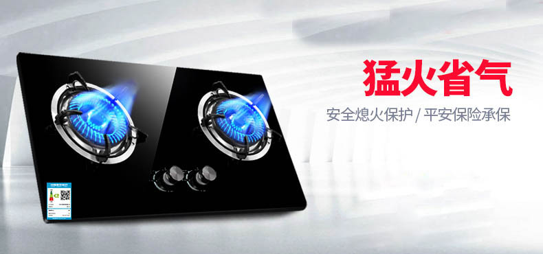 OEM一家厨卫电器厂家燃气灶
